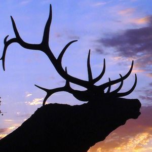 Meet your Posher, Aiden